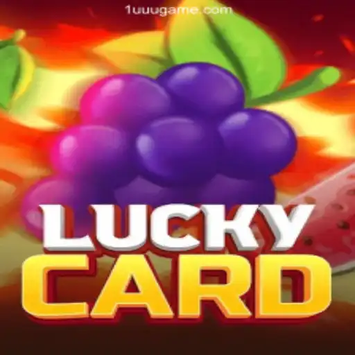 Experience the Thrill of 